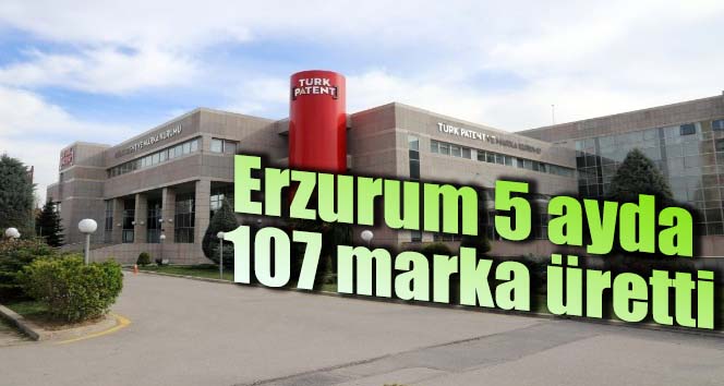 Erzurum 5 ayda 107 marka üretti