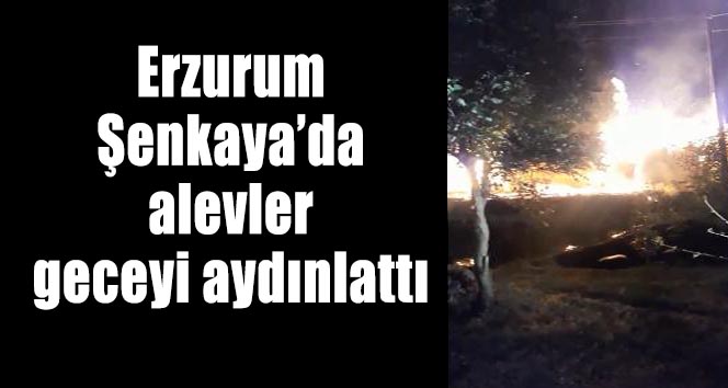 Erzurum’da alevler geceyi aydınlattı
