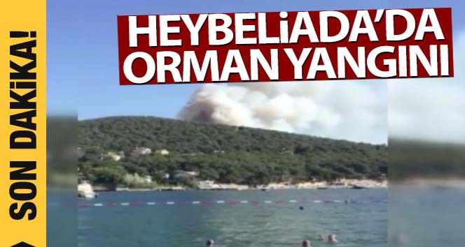 İstanbul Heybeliada’da orman yangını