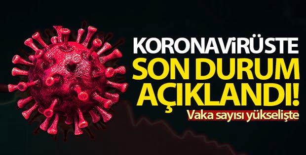 Türkiye’de son 24 saatte 7.795 koronavirüs vakası tespit edildi