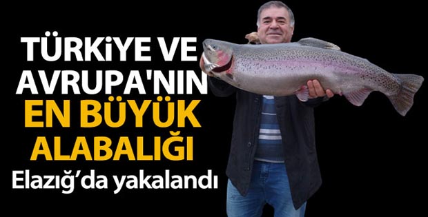 Türkiye ve Avrupa’nın en büyük alabalığı Elazığ’da olta ile yakalandı