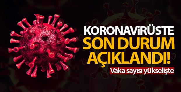 Türkiye’de son 24 saatte 14.556 koronavirüs vakası tespit edildi