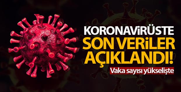 Türkiye’de son 24 saatte 11.770 koronavirüs vakası tespit edildi