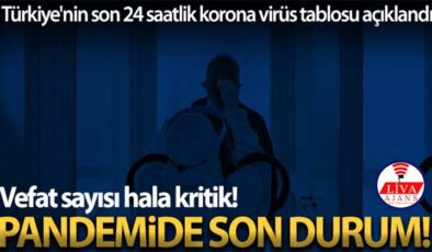 Son 24 saatte korona virüsten 341 kişi hayatını kaybetti