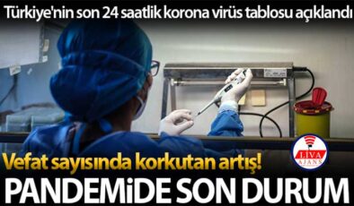 Son 24 saatte korona virüsten 394 kişi hayatını kaybetti
