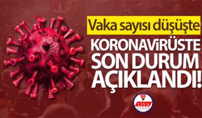 Türkiye’de son 24 saatte 38.553 koronavirüs vakası tespit edildi