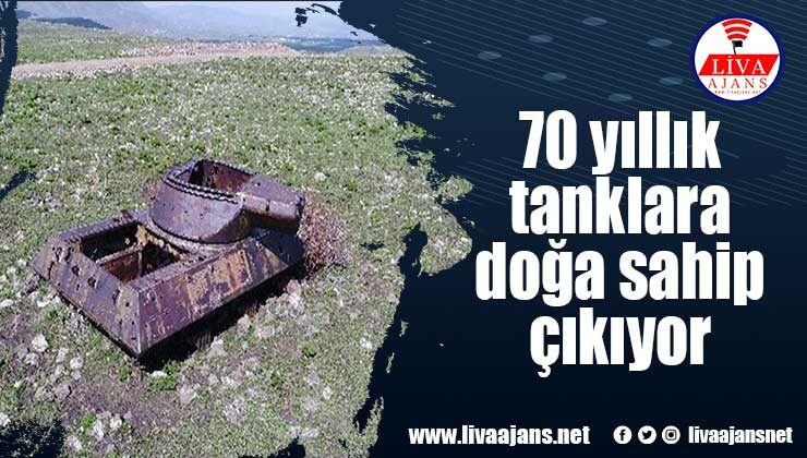 70 yıllık tanklara doğa sahip çıkıyor