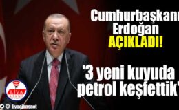 Cumhurbaşkanı Erdoğan: ‘3 yeni kuyuda petrol keşfettik’