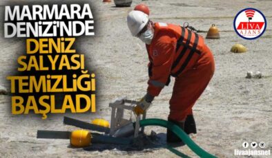 Marmara Denizi’nde deniz salyası temizliği başladı
