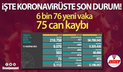 Türkiye’de son 24 saatte 6.076 koronavirüs vakası tespit edildi