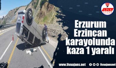 Erzurum Erzincan karayolunda kaza 1 yaralı