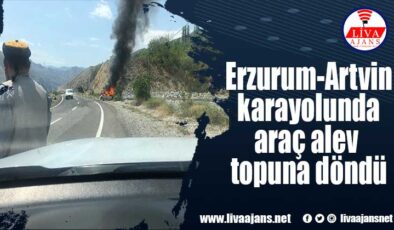 Erzurum-Artvin karayolunda araç alev topuna döndü