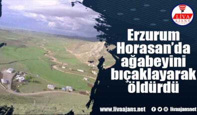 Erzurum Horasan’da ağabeyini bıçaklayarak öldürdü