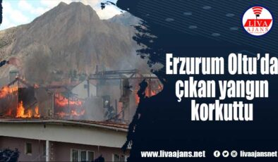 Erzurum Oltu’da çıkan yangın korkuttu