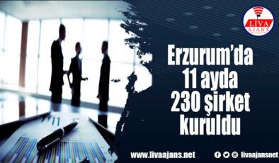 Erzurum’da 11 ayda 230 şirket kuruldu
