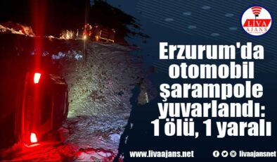 Erzurum’da otomobil şarampole yuvarlandı