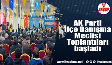 AK Parti İlçe Danışma Meclisi Toplantıları başladı