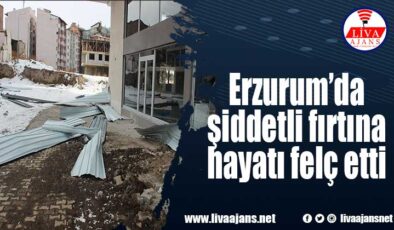 Erzurum’da şiddetli fırtına hayatı felç etti