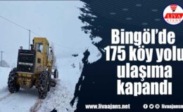 Bingöl’de 175 köy yolu ulaşıma kapandı