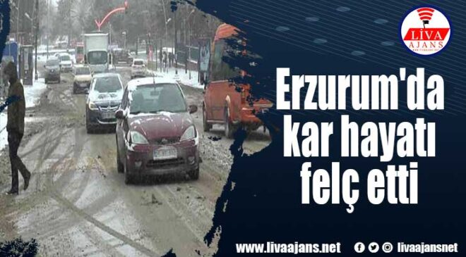Erzurum’da kar hayatı felç etti