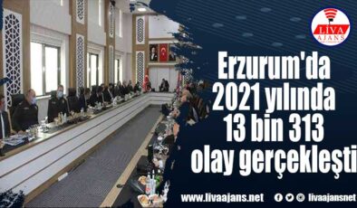 Erzurum’da 2021 yılında 13 bin 313 olay gerçekleşti