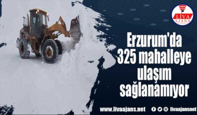 Erzurum’da 325 mahalleye ulaşım sağlanamıyor