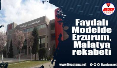 Faydalı Modelde Erzurum, Malatya rekabeti
