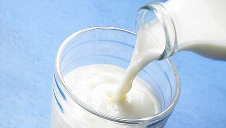 İçme sütü üretimi azalıyor