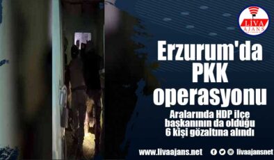 Erzurum’da PKK operasyonu