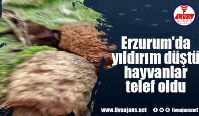Erzurum’da yıldırım düştü hayvanlar telef oldu