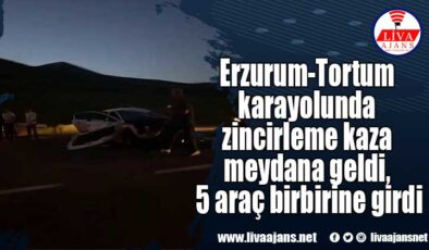 Erzurum-Tortum karayolunda zincirleme kaza meydana geldi,  5 araç birbirine girdi