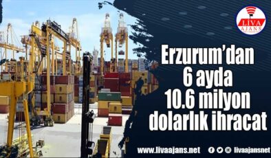 Erzurum’dan 6 ayda 10.6 milyon dolarlık ihracat