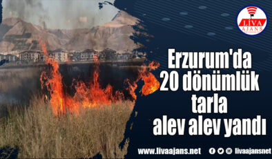 Erzurum’da 20 dönümlük tarla alev alev yandı