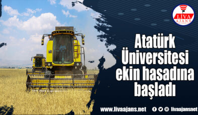 Atatürk Üniversitesi ekin hasadına başladı