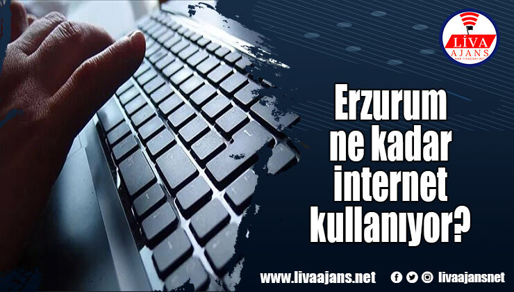Erzurum ne kadar internet kullanıyor?