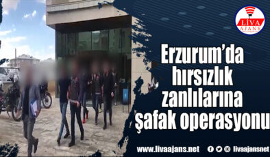 Erzurum’da hırsızlık zanlılarına şafak operasyonu