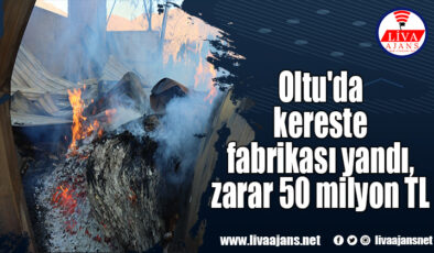 Oltu’da kereste fabrikası yandı, zarar 50 milyon TL