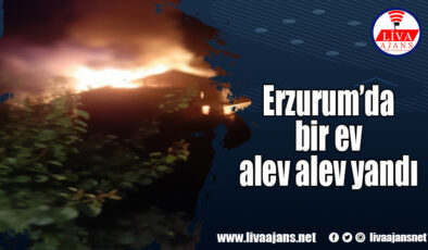 Erzurum’da bir ev alev alev yandı