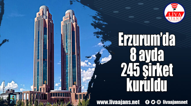 Erzurum’da 8 ayda 245 şirket kuruldu