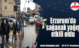 Erzurum’da sağanak yağış etkili oldu
